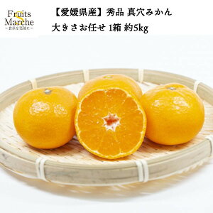 yIz݂ ^݂ 5kg Gi 傫C 1 QY uh݂ k ikCEꌧ͕ʓrZj