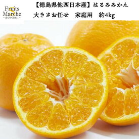 【送料無料】【徳島県他西日本産】訳あり　はるみみかん　大きさお任せ　家庭用　約4kg(北海道沖縄別途送料加算)