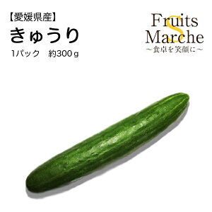 きゅうり きゅうりの人気商品 通販 価格比較 価格 Com