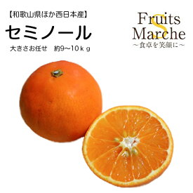 【送料無料】【和歌山他西日本産】訳あり　セミノール　大きさおまかせ　約9〜10kg(北海道沖縄別途送料加算)