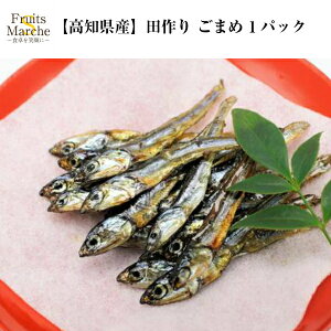 ごまめ 食品の人気商品 通販 価格比較 価格 Com