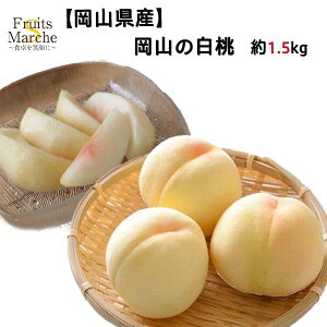 yzyRYzR̔@1.5kg (kCʓrZ)