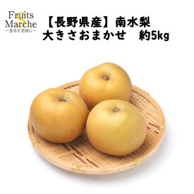 【送料無料】【長野県産】訳あり 南水梨 大きさおまかせ 約5kg(北海道沖縄別途送料加算)
