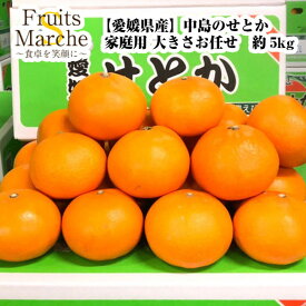 【送料無料】【愛媛県産】訳あり　中島のせとか　家庭用　 大きさお任せ　約5kg(北海道沖縄別途送料加算)