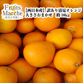 【送料無料】【西日本産】訳あり　清見オレンジ　大きさお任せ　約10kg（北海道沖縄別途送料加算）