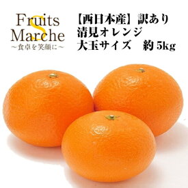 【送料無料】【西日本産】訳あり　清見オレンジ　大玉サイズ　約5kg（北海道沖縄別途送料加算）