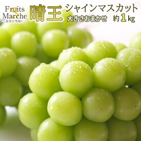 【送料無料】シャインマスカット 晴王 岡山 ぶどう 約1kg 大きさお任せ 高糖度 岡山県産 送料無料 （北海道・沖縄県は別途送料加算）