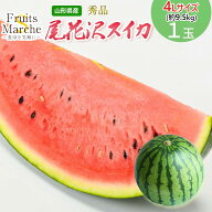 【送料無料】【山形県産】秀品 尾花沢スイカ 4Lサイズ　1玉9.5kg以上(北海道沖縄別途送料加算)