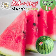 【送料無料】【長野県産】秀品　松本ハイランド　4Lサイズ　1玉　約9.5kg以上(北海道沖縄別途送料加算)