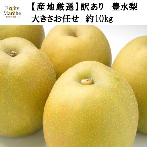 yzyYnIz󂠂@L@傫܂@10kg(kCʓrZ