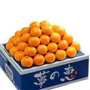 yIz݂ ̌b 4kg x 12 ȏ Â ̂߂ ̌b݂ 傫C F{Y  ikCEꌧ͕ʓrZj