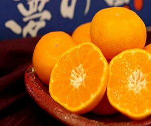 yIz݂ ̌b Gi 4kg SEMELTCY x 12 ȏ Â ̂߂ ̌b݂ F{Y  ikCEꌧ͕ʓrZj