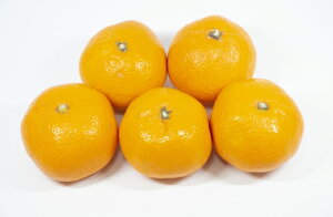 yIz݂ ^݂ 5kg 󂠂 傫C QY k ikCEꌧ͕ʓrZj