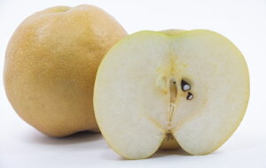 yzyYnIzVi񂱂Ȃj@傫܂@5kgikCʓrZj