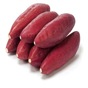 yIzȂƋ ނ ܂ M`2LTCY 1kg 󂠂  Y ikCEꌧ͕ʓrZj