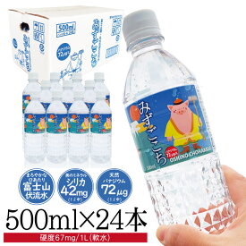 【24本セット】富士山麓 天然水 水 シリカ水 バナジウム水 ミネラルウォーター 500ml×24本 みずごこち 天然ミネラル 軟水 鉱水 飲料水 みず 飲料水鉱水 みず軟水 軟水飲料水 鉱水飲料水（イラストボトル）