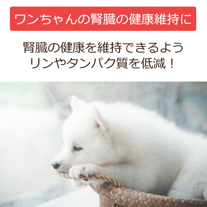 楽天市場】犬用療法食・腎臓の健康サポート1kg入り・Dr.宿南のキセキの 
