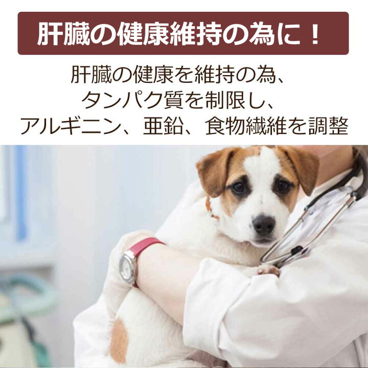 楽天市場 初回お試しサンプル 送料無料 犬用療法食 肝臓 の健康サポート100g入り Dr 宿南のキセキのごはん 鹿肉ドッグフード ベニソン 国産 無添加 デイリースタイル 犬 獣医師開発 1世帯1個限り 獣医師 宿南章の愛情ごはん療法食