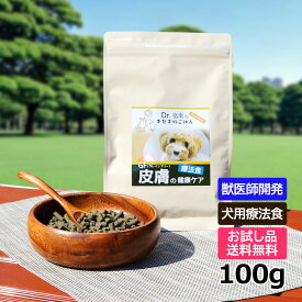 【初回お試しサンプル・送料無料】Dr.宿南のキセキのごはん　GF皮膚の健康ケア（グレインフリー）100g（全犬種用）ディアメイト/国産/ルーミート/犬/獣医師開発 ※1世帯1個限り