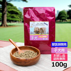 【初回お試しサンプル・送料無料】DailyStyle プレミアムドックフード　子犬用（1歳未満）100g入り/パピー（ベニソン/国産/無添加/鹿肉ドッグフード/犬/獣医師開発）※1世帯1個限り