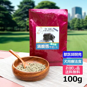 y񂨎TvEzpÖ@HET|[g 100gEihbOt[h/xj\/Y/Y/fC[X^C//btJj11