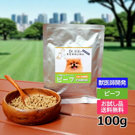 【初回お試しサンプル・送料無料】DailyStyle ビーフ 100g入り（全年齢・全犬種用）（デイリースタイル/ビーフ/国産/無添加/牛肉ドッグフード/犬/獣医師開発）※1世帯1個限り