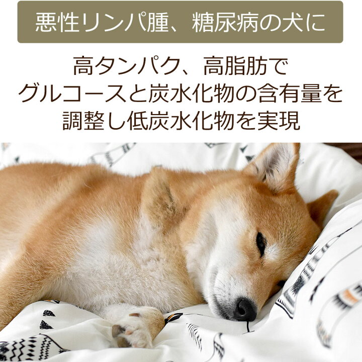 楽天市場 初回お試しサンプル 送料無料 犬用食事療法食 G A N コントロール100g入り 鹿肉ドッグフード ベニソン 国産 無添加 デイリースタイル 犬 獣医師開発 1世帯1個限り 獣医師 宿南章の愛情ごはん療法食