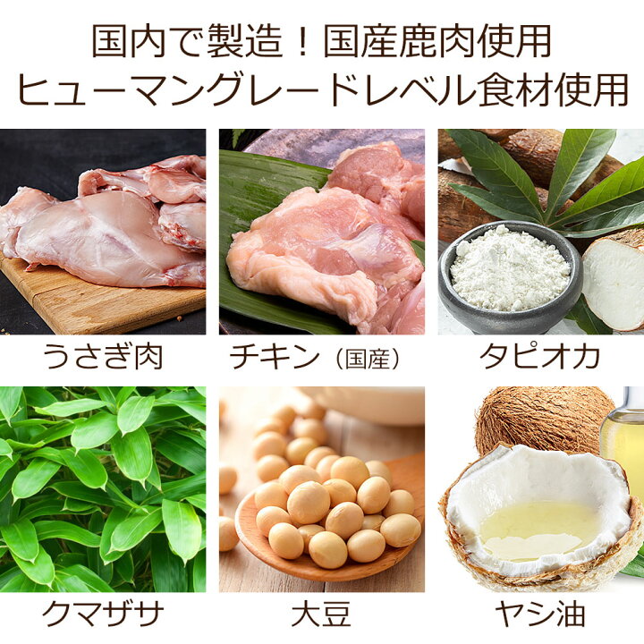 楽天カード分割 Dearmateグレインフリー キャットフード ラビット チキン 100g 初回お試しサンプル 送料無料 獣医師開発 Shipsctc Org