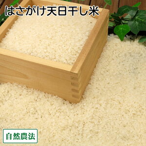 y12P10{vGg[z yߘa7NxYzc񂿂̂͂V(郍})  5kg R_@ (X 񂲂t@[) Yn