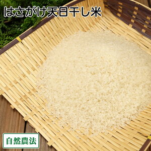 yߘa7NxYzc񂿂̂͂V(܂)  5kg R_@ (X 񂲂t@[) Yn