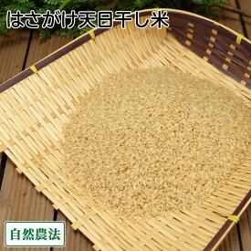 【令和7年度産】田口さんちのはさがけ天日干し米(まっしぐら) 玄米 10kg 自然農法 (青森県 だんごっこファーム) 産地直送