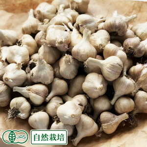 y11P10{vGg[zL@ ɂɂ 3kg L@JAS R͔| (X SKOS) Yn