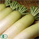 【クール便】有機 大根 約5kg(4本前後) 有機JAS (青森県 自然食ねっと青森) 産地直送