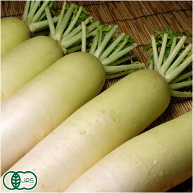 【クール便】有機 大根 約5kg(4本前後) 有機JAS (青森県 自然食ねっと青森) 産地直送