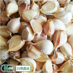 �y�o���l�߁z�L�@�c�q�ɂ�ɂ� 1kg �L�@JAS�E���R�_�@ (�X�� ��܂��Ɣ_�Y) �Y�n����