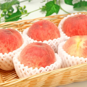 �y��s�\��z�� ���� ��1.8kg ���_�� �� ���� �M�t�g �t���[�c ������ �����t���[�c (�R���� �t�����_��) �Y�n����