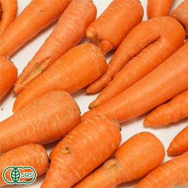 【12月はP10倍★要エントリー】 【B品】有機 にんじん (洗い) 5kg 有機JAS (青森県 南風農園) 産地直送 クール便選択可能
