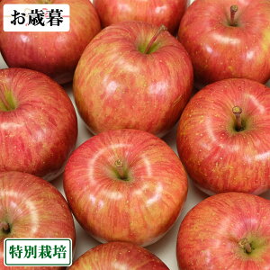 yΕpzTӂ Ai 5kg ʍ͔| (X _) Yn