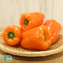 楽天市場】ベルガモットオレンジ 栽培（食品）の通販