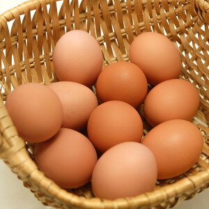 【10月中はP10倍!要エントリー】平飼い養鶏 淡路島の恵み卵 30個(S〜Lサイズ) (兵庫県 花岡農恵園) 産地直送