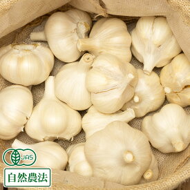オーガニック 田子にんにく Sサイズ(玉) 1kg 有機JAS・自然農法 (青森県 やまもと農産) 産地直送