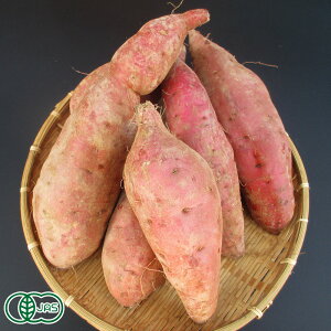 yZ[EBi󂠂zL@܂ (g͂邩) 2L`3LTCY 10kg×2 L@JAS (F{ ߐ{R_) Yn Tc}C