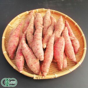 y11P10{vGg[zylCzL@܈(yt) 3kg L@JAS (F{ ߐ{R_) ܂ Yn