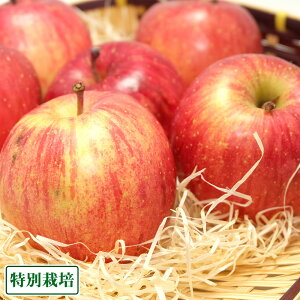 y\E󂠂zӂ 5kg ʍ͔| (X c񂲔_) Yn 