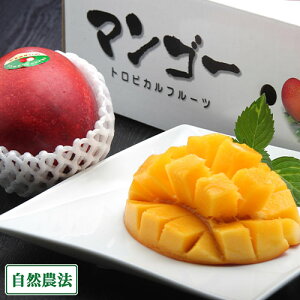 �y�����\��J�n�E�N�[���ցz�A�[�E�B�� �G�i1kg ���R�_�@ (���ꌧ ����}���S�[���Y������) �Y�n���� �A�b�v���}���S�[