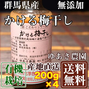 梅 産地直送の人気商品 通販 価格比較 価格 Com