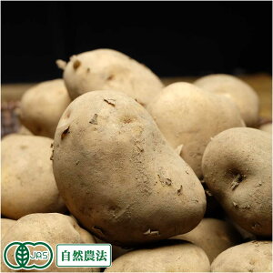 L@ k (M`LTCY) 5kg L@JASႪ (kC ͂邩_) Yn