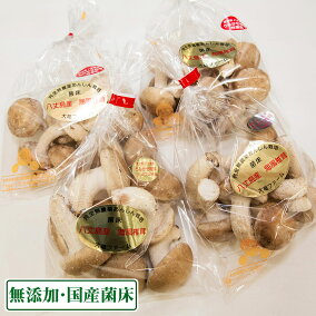 楽天市場 きのこ 生産国 オーストラリア 人気ランキング1位 売れ筋商品