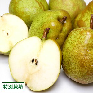 y12P10{vGg[zEtX p 2kg ʍ͔| (R`Y XJʎ) Yn