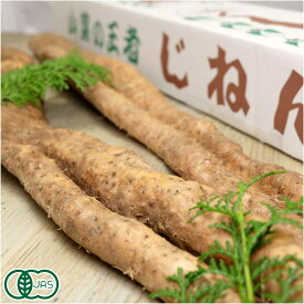有機 自然薯 家庭用 約1.2kg(1〜5本) 有機JAS・自然農法 (熊本県 那須自然農園) 産地直送